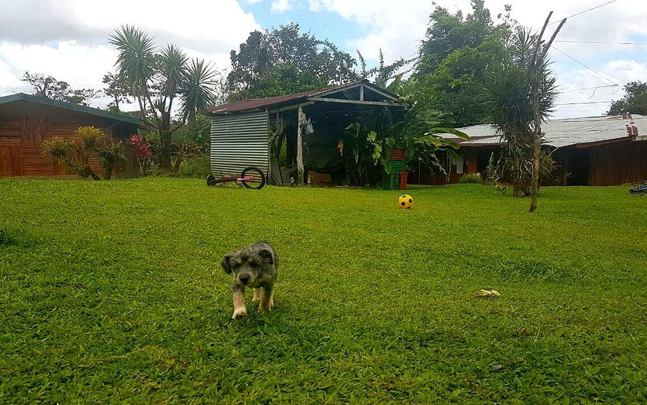 Tio Felix Eco Lodge La Fortuna Extérieur photo