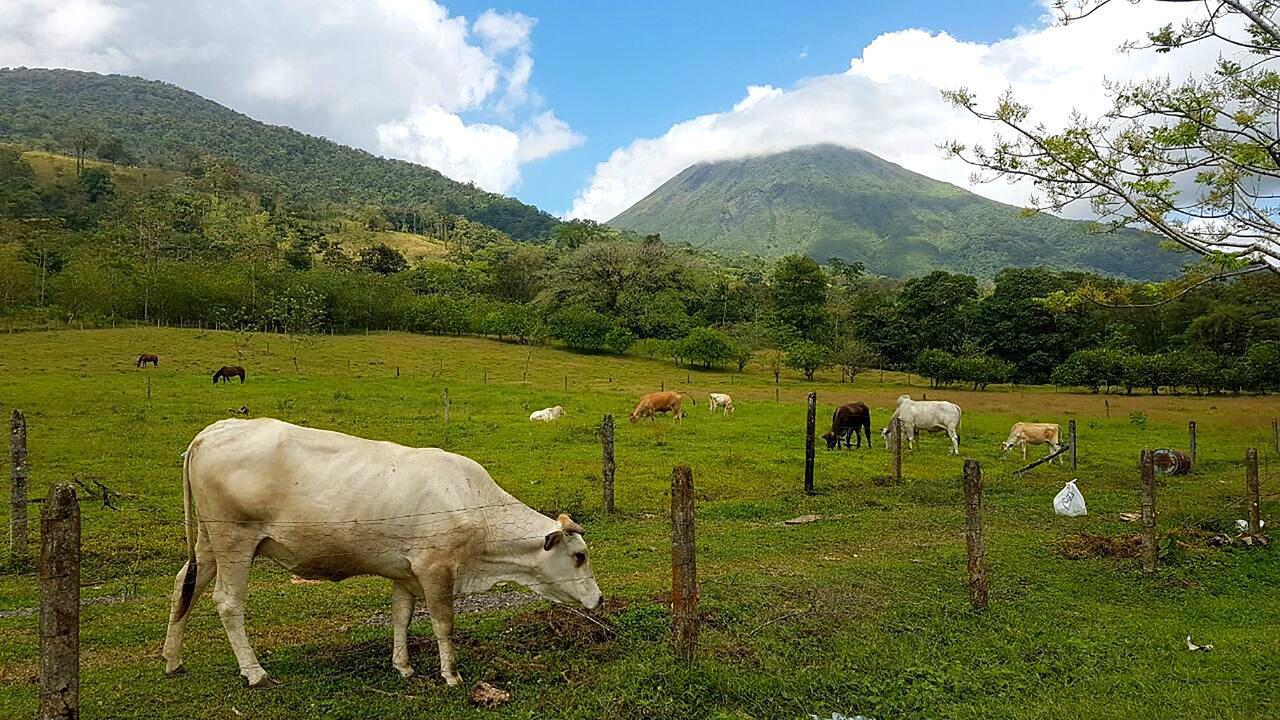 Tio Felix Eco Lodge La Fortuna Extérieur photo