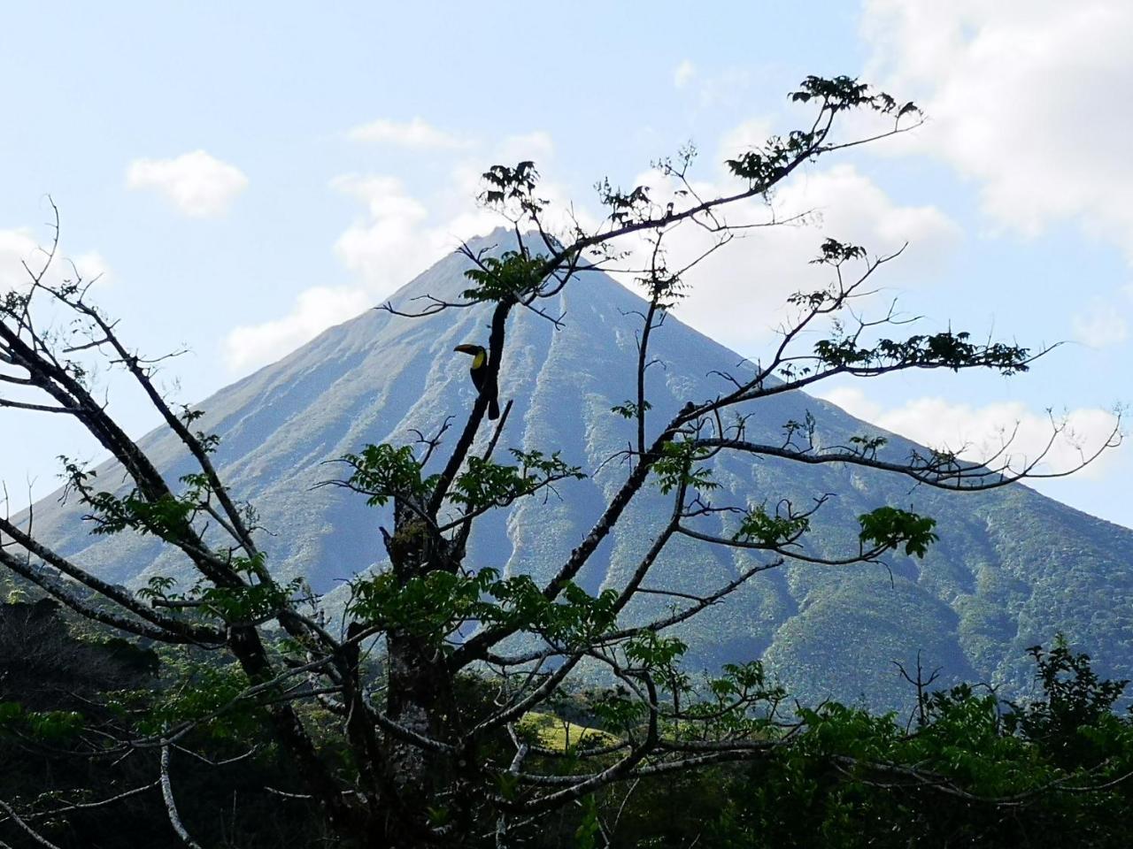 Tio Felix Eco Lodge La Fortuna Extérieur photo